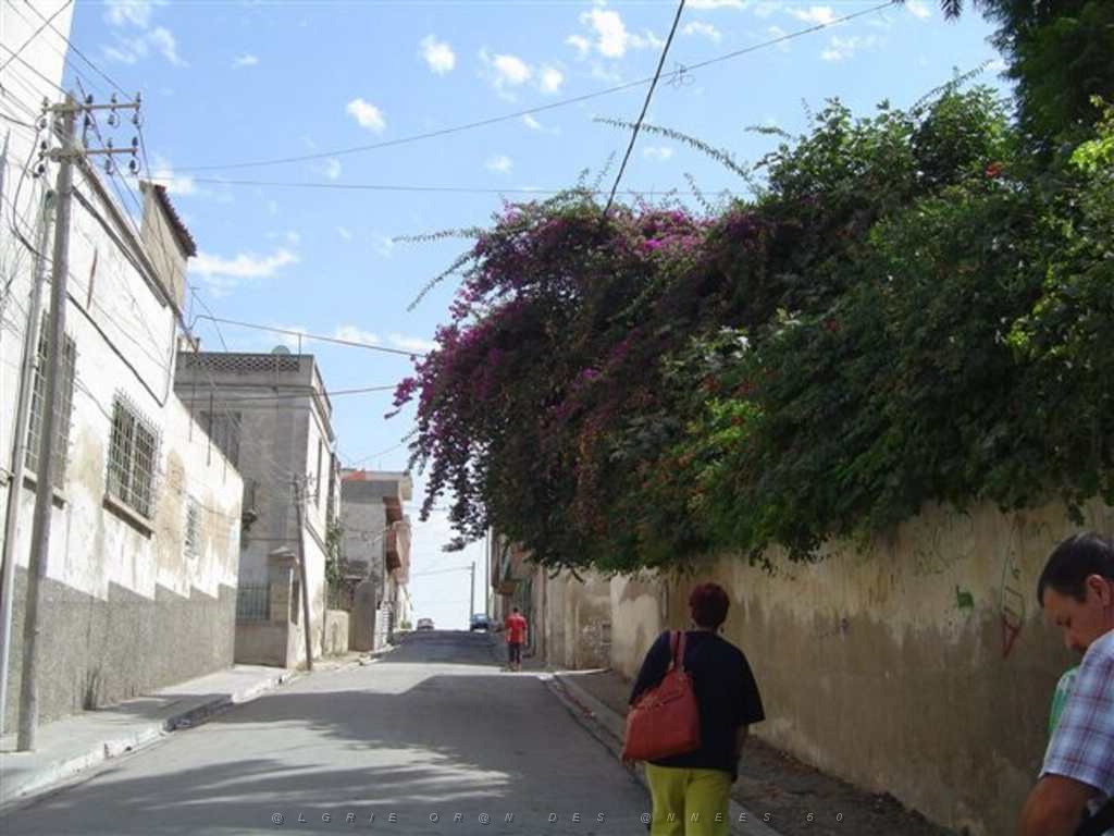ORAN AOUT 2007 rue Franche Comte 2.JPG
